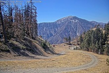 2025-10-06_19-59-01