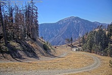 2025-10-07_21-11-50