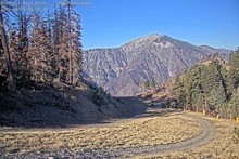 2025-10-08_15-41-45