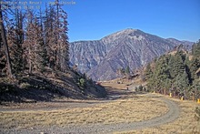 2025-10-08_16-30-03