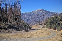2025-10-08_18-23-05
