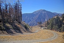 2025-10-08_21-05-01