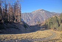 2025-10-12_15-34-00