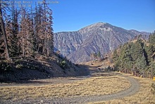 2025-10-13_16-07-53