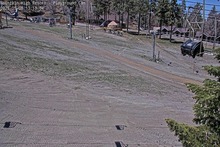 2025-05-08_20-13-34