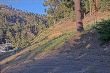 2025-06-22_02-20-28