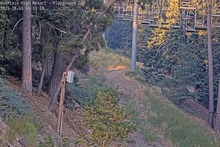 2025-08-03_13-36-26