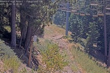 2025-08-03_21-42-26