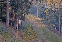 2025-08-04_13-52-23