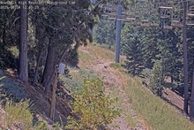 2025-08-04_19-46-52