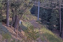 2025-08-05_00-53-42