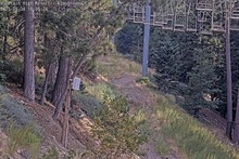 2025-08-05_01-09-55