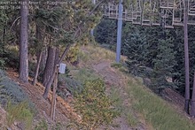 2025-08-05_01-57-53