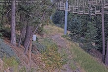 2025-08-05_02-13-52