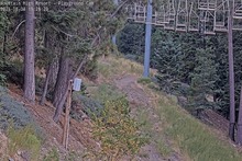 2025-08-05_02-29-46