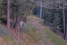 2025-08-05_02-45-48