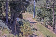 2025-08-07_17-47-52