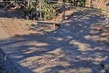 2025-09-15_15-09-55