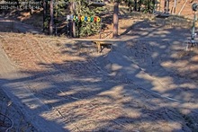 2025-09-17_15-08-54