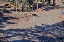 2025-09-17_16-14-05